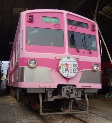 DSC01878-コピー3-501x550.jpg